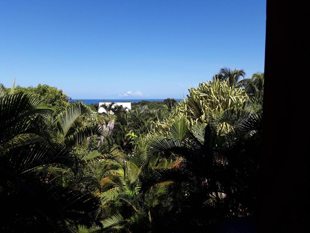 Villa Et Gites Le Safran - Le Triskell デエエ エクステリア 写真