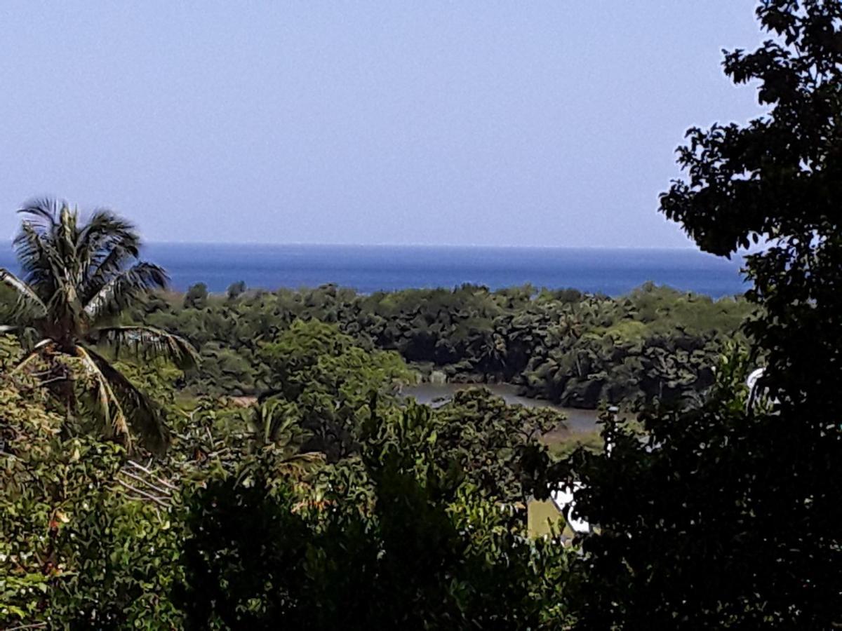 Villa Et Gites Le Safran - Le Triskell デエエ エクステリア 写真
